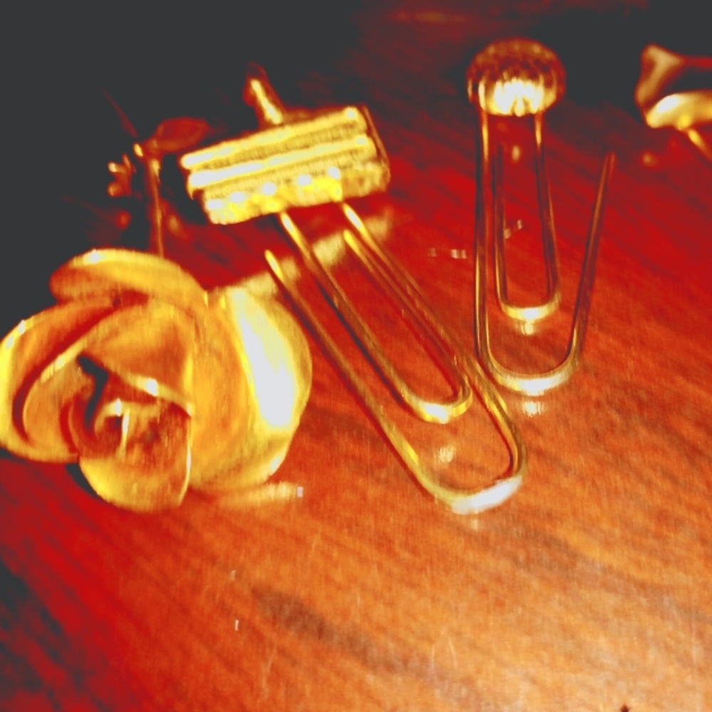 Body pin and clip lot